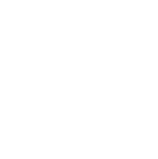 Logo i9